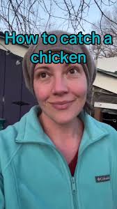 How to Round Up Chickens at Night