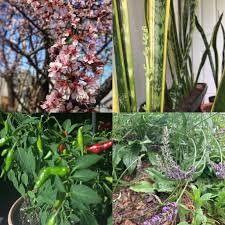 Humans of Waste-Free Dayton: Scott Johnson — Waste-Free Dayton