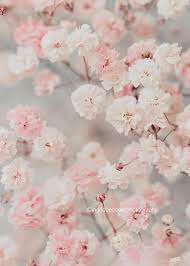 Shop thousands of high quality bath mats designed and sold by independent artists. 20 Latest Pink White Flowers Aesthetic Alice T Jones