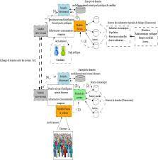 Scielo Brasil Architecture D Un Systeme D Information Decisionnel Orientee Vers Le Processus Electoral Architecture D Un Systeme D Information Decisionnel Orientee Vers Le Processus Electoral