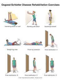 Pin On Physical Therapy