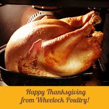 Chicken wishing turkey happy thanksgiving. Ask A Poultry Farmer