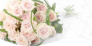 Perennial plant association this is a trade association composed of growers, retailers, landscape designers canadian national exhibition, toronto the cne garden show is the largest flower and vegetable growing competition in canada. Flowers By Terry Florist In Aurora Ontario Flower Delivery Gta