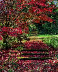 Pin By Anishkumar On Autumn My Favorite Season Photoshop Seasons My Favorite Things