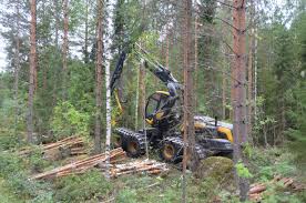 Comment Produire 4 Fois Plus De Bois Par Hectare Operations Forestieres