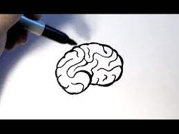 How To Draw A Brain Brain Drawing Easy Cartoon Drawings Cartoon Brain