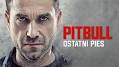 Video for pitbull+za+darmo