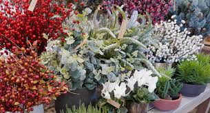Hortus Home And Garden Shop Blackheath London Garden Shop Garden Items Home And Garden