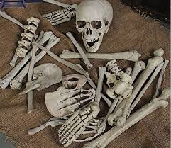 Bag Of Plastic Skeleton Bones Indoor Outdoor Halloween Decoration 30 Piece Set Halloween Haunted House Decorations Haunted House Decorations Halloween Haunt