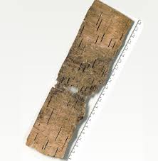 The oldest dated birch bark manuscripts are numerous gandhāran buddhist texts from approximately the 1st century ce, which are believed to have. Zelo Berestyanaya Gramota 242 Novgorod 1420 1430 Gg Gramota Zelo Chelobite Ot Kosheya I Ot Ispolshikov U Kogo Est Koni I Te Plohi A U Inyh Vovse Net Chem Gospodin Pozhaluesh Krestyan