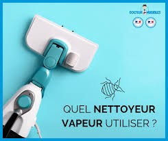 Les hautes températures ont raison de la punaise de lit en quelques secondes. Quel Nettoyeur Vapeur Pour Punaise De Lit Docteur Nuisibles