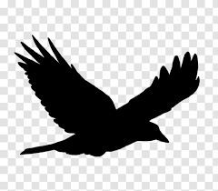 1000 bird in flight silhouette free vectors on ai, svg, eps or cdr. Bird Flight Silhouette Clip Art Hawk Transparent Png