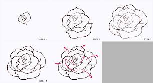 Image Result For Draw Roses Step By Step Flower Drawing Roses Drawing Rose Drawing Simple