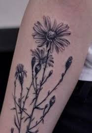 Women's rose and daisy tattoo. 60 Daisy Tattoo Designs Ideas Daisy Tattoo Daisy Tattoo Designs Tattoo Designs