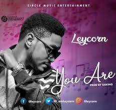 Audio Leycorn You Are Music Stage Name Entertaining