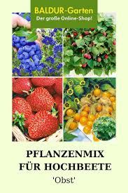 Zugegeben unter großen oder immergrünen. Pflanzenmix Fur Hochbeete Obst 1a Qualitat Baldur Garten Obst Erdbeerpflanzen Pflanzen