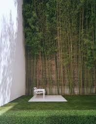 Used in containers you could create a screen on a balcony, a deck or even in a window box for a window that looks directly into someone else's apartment. Pinterest