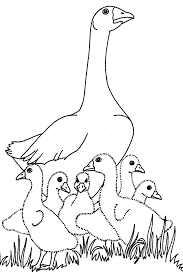 صور بط للتلوين رسومات أوز لتلوين الاطفال بطات حلوة للتلوين رسومات بالابيض والاسو Coloring Pages Farm Animal Coloring Pages Bird Embroidery Pattern