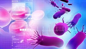 We did not find results for: Vibrio Vulnificus Infeksjon Nhi No