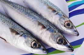 Image result for Scombroid Fish Poisoning