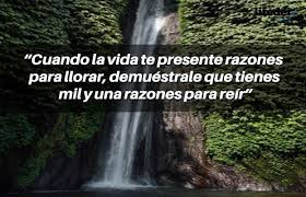 Imágenes chidas con frases perronas. 100 Frases Chidas De La Vida Cortas