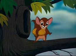 The flying squirrel (das fliegende eichhörnchen) donald duck, 1954. The Flying Squirrel Short 1954 Imdb