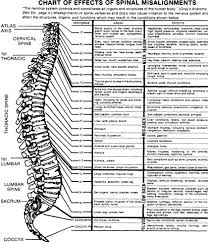 A Close Look At Chiropractic