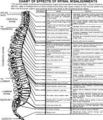 a close look at chiropractic