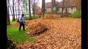Leaf Collection Pickup Landscaping Service Alpine Landscaping Landscape Services Landscaping Calgary Garden Services