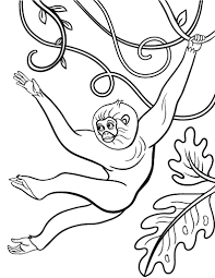 Some of the coloring page names are costa rica coloring costa rica coloring for 2019, colouring book of flags central and south america, costa rica coloring at colorings to and color, costa rica coloring at colorings to and color, costa rica coloring costa rica coloring for 2019, costa rica coloring at colorings to and color, costa. Free Monkey Coloring Page