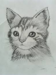 How to draw animals, with mark crilley. Kitten Inspired By Mark Crilley By Pisellis2 On Deviantart