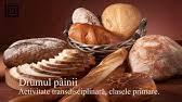 Sincer am ramas uimit de cat de. Povestea Painii Panifcom Youtube