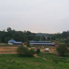 Others demand the improvement of basic infrastructure in the. Experience Life On A Horse Farm In Malaysia