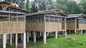 Jika anda menginginkan ayam yang sehat, kuat. Cara Membuat Kandang Ayam Potong Model Ukuran Biaya Contoh