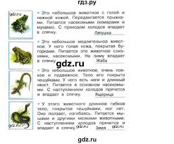 окружающий мир 2 класс плешаков новицкая рабочая тетрадь решебник Gdz Chast 1 Stranica 58 Okruzhayushij Mir 2 Klass Rabochaya Tetrad Pleshakov Novickaya