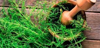 If you want more silica in your body, you need to include some of these in your diet: Silica For Hair Growth And Hair Loss Prevention Viviscal Healthy Hair Tips