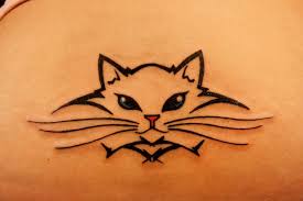 Cat Tattoo Kedi Dovmeleri Desenler Kedi