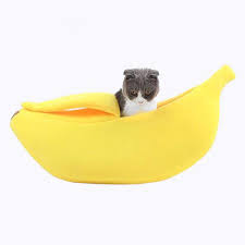 März 2021 · autor hat 1.291 antworten und 465.477 antwortaufrufe. Banane Geformt Katze Bett Haus Soft Kuscheln Kaufland De