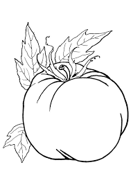 Printable food and vegetables coloring pages. Parentune Free Printable Tomato Coloring Pages Tomato Coloring Pictures For Preschoolers Kids