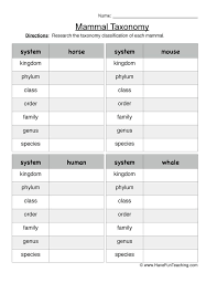 Mammal Taxonomy Worksheet In 2020 Taxonomy Worksheet Have Fun Teaching Taxonomy