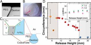 hanging droplets from liquid surfaces