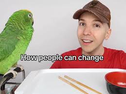 Nick Accardo Avocado Eating Kfc