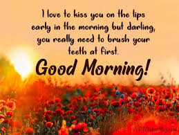 We added a bunch of various ones in case you wanted to go with sweet texts to cheesy texts to funny texts to try to help fit different personalities. Funny Good Morning Wishes Messages Quotes Wishesmsg
