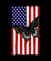 Download Monarch American Flag Butterfly Tiger Swallowtail Digital Art By Tom Schiesswald