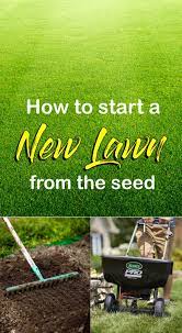 How To Start A New Lawn From The Seed How To Grow New Lawn Growing Grass From Seed Growing Lawn Growing Grass