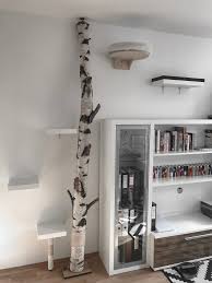 Kratzbaum Aus Bzw Mit Einer Birke In 2020 Diy Kratzbaum Kratzbaum Birke