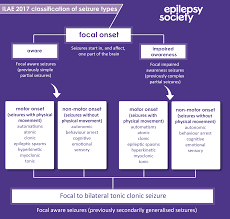 Ilae New Seizure Classification What Are The New Seizure