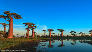 Que voir et que faire ? Decalage Horaire Madagascar Heure Locale Madagascar Monde Du Voyage