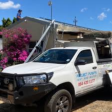 Image result for Selago coerulea