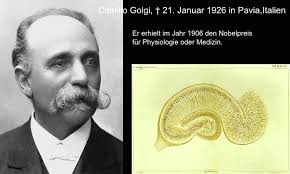 HISTOLOGIE: charakteristische Struktur im Gehirn: der Hippocampus